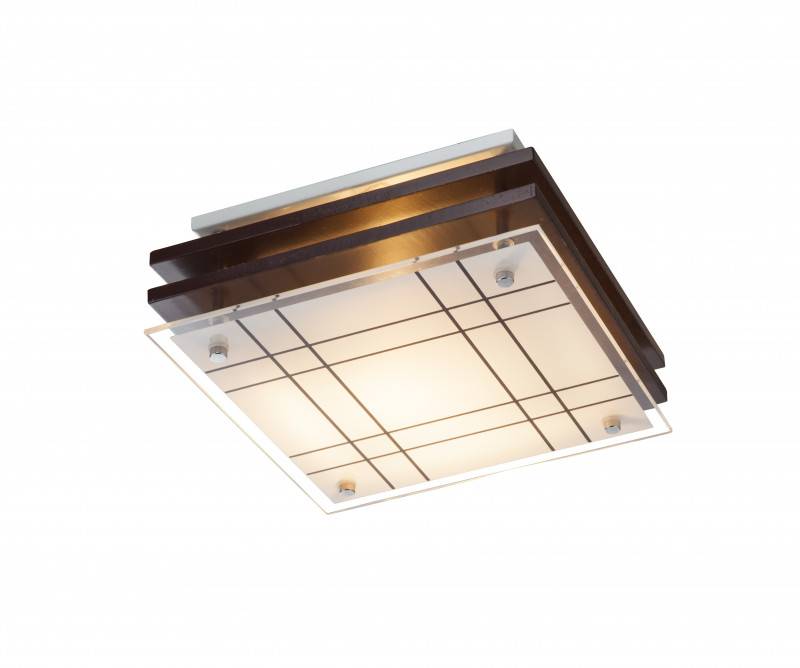 Накладной светильник Globo 48089