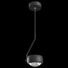 Подвесной светильник Maytoni Lens MOD072PL-L8B3K