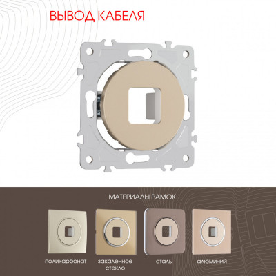 Arte Milano 202.49-1.shampan