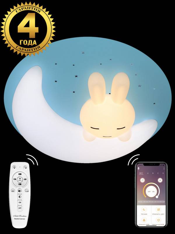 Потолочный детский светильник Natali Kovaltseva LED LAMPS 81087