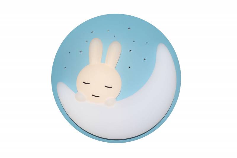 Потолочный детский светильник Natali Kovaltseva LED LAMPS 81087