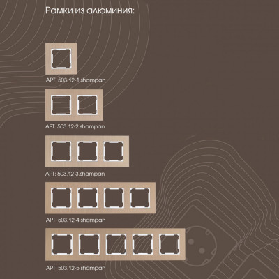 Arte Milano 203.49-1.shampan