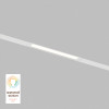 Светильник на шине Denkirs DK8003-WH
