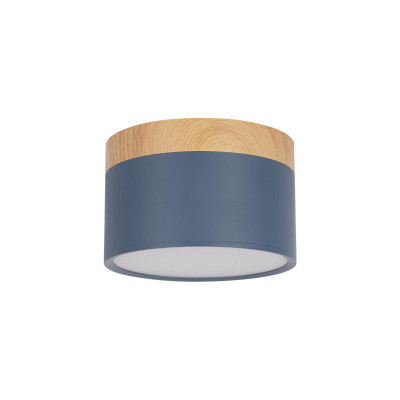 Детский точечный светильник LOFT IT 10162 Blue