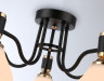 Накладная люстра Ambrella Light TR303307
