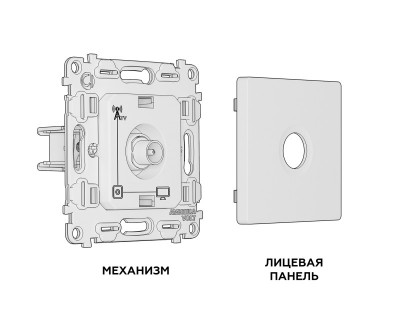 Розетка Ambrella Volt MA813010