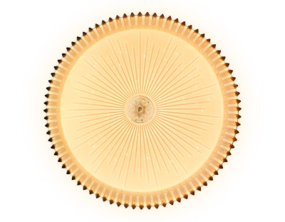 Накладной светильник Ambrella Light FF95