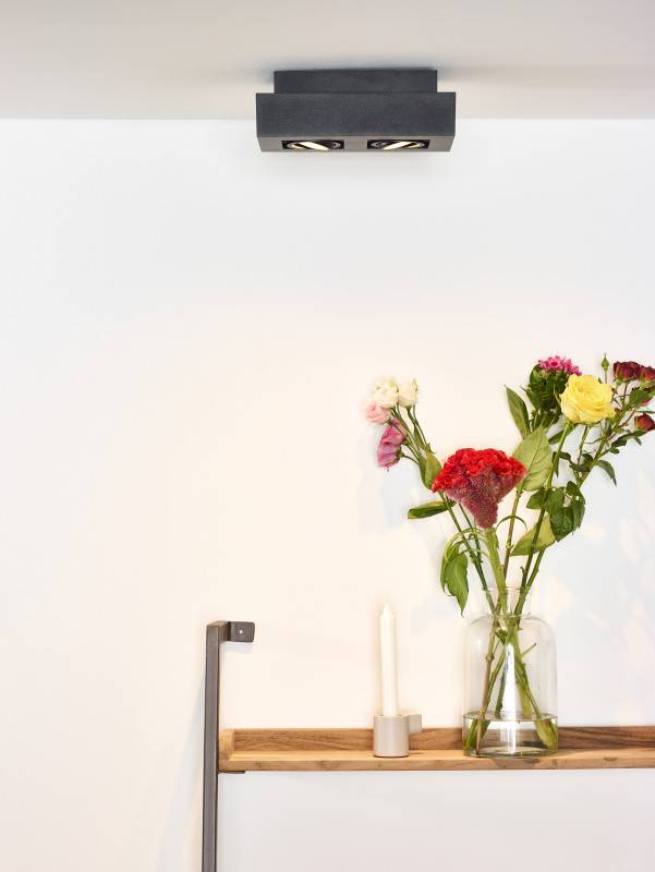 Накладной светильник LUCIDE 09119/11/30