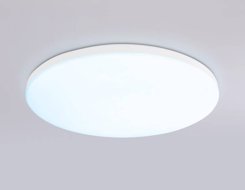 Накладной светильник Ambrella Light FZ2001