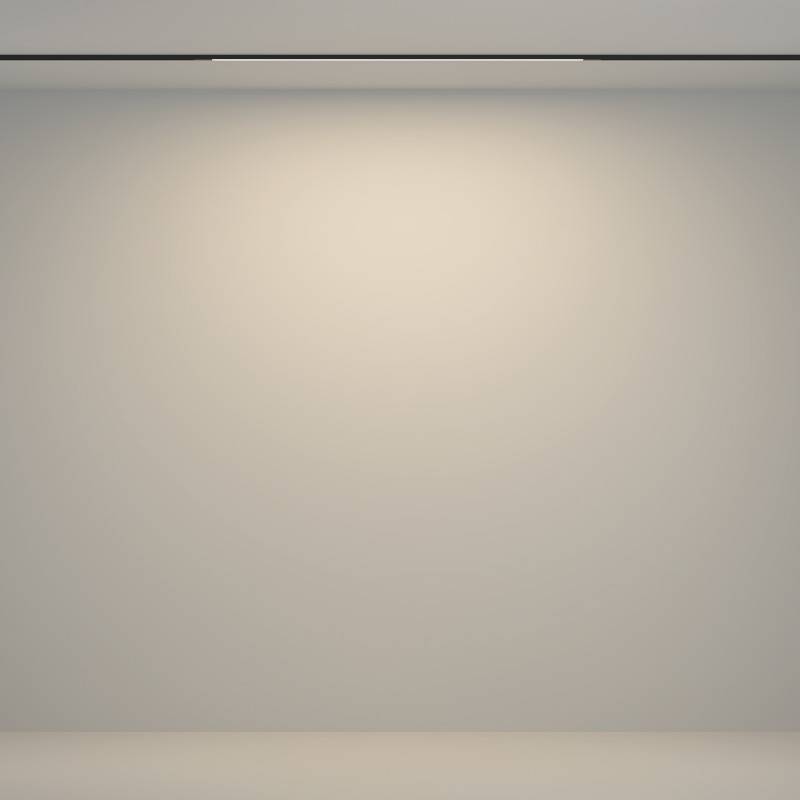 Светильник на шине Maytoni Technical TR180-1-12WTW-B