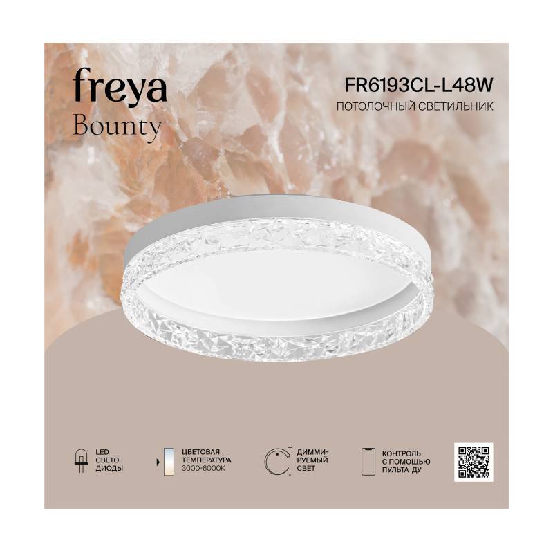 Накладной светильник Freya FR6193CL-L48W