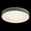 Потолочный детский светильник LOFT IT 10001/36 Green