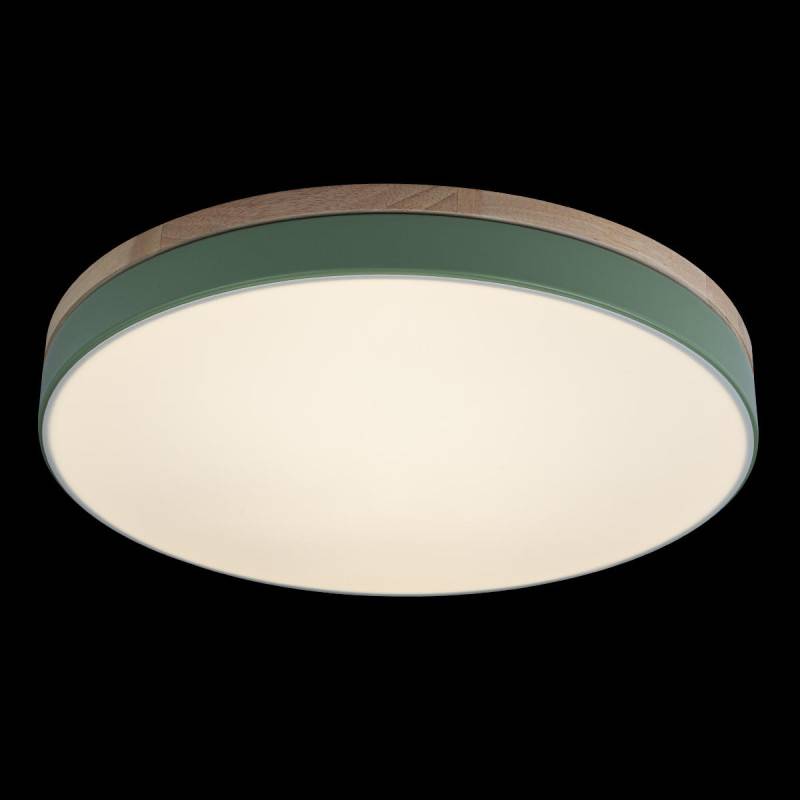 Потолочный детский светильник LOFT IT 10001/36 Green