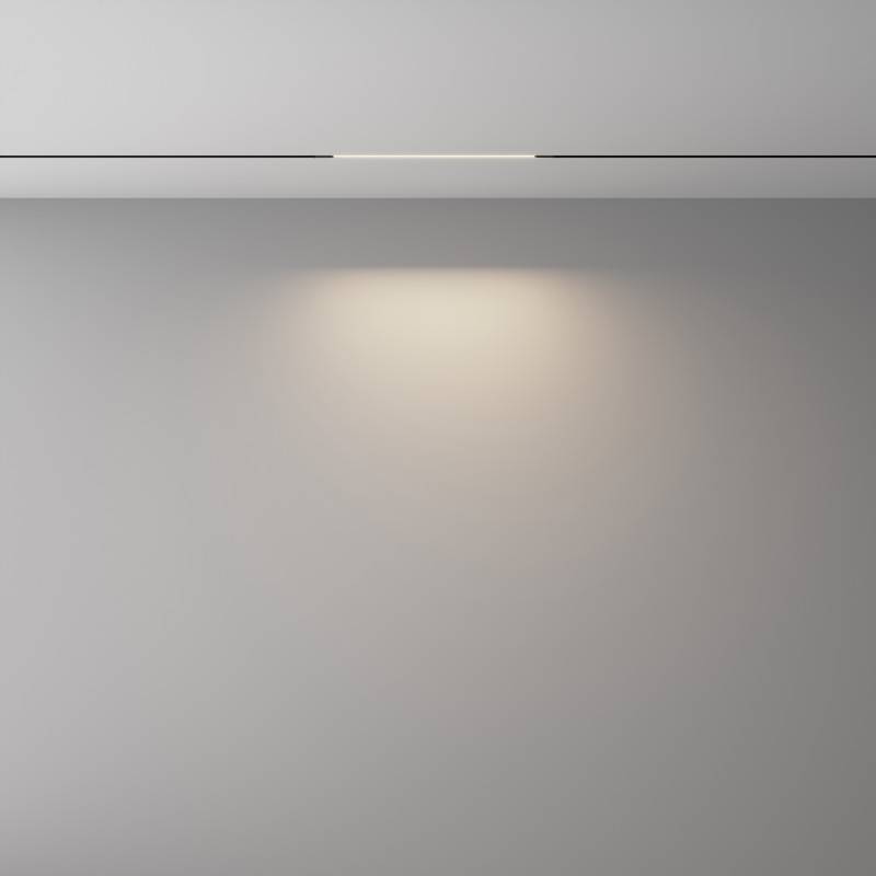 Светильник на шине Maytoni Technical TR240-2-6W4K-B