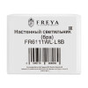 Светильник для картин Freya FR6111WL-L8B