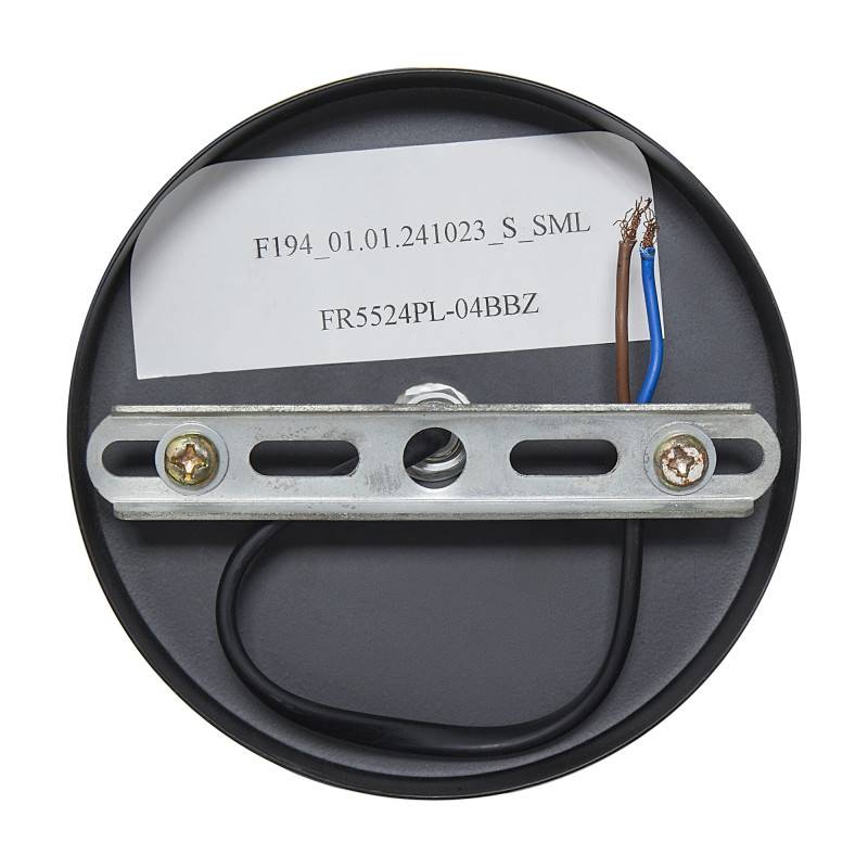 Подвесной светильник Freya FR5524PL-04BBZ