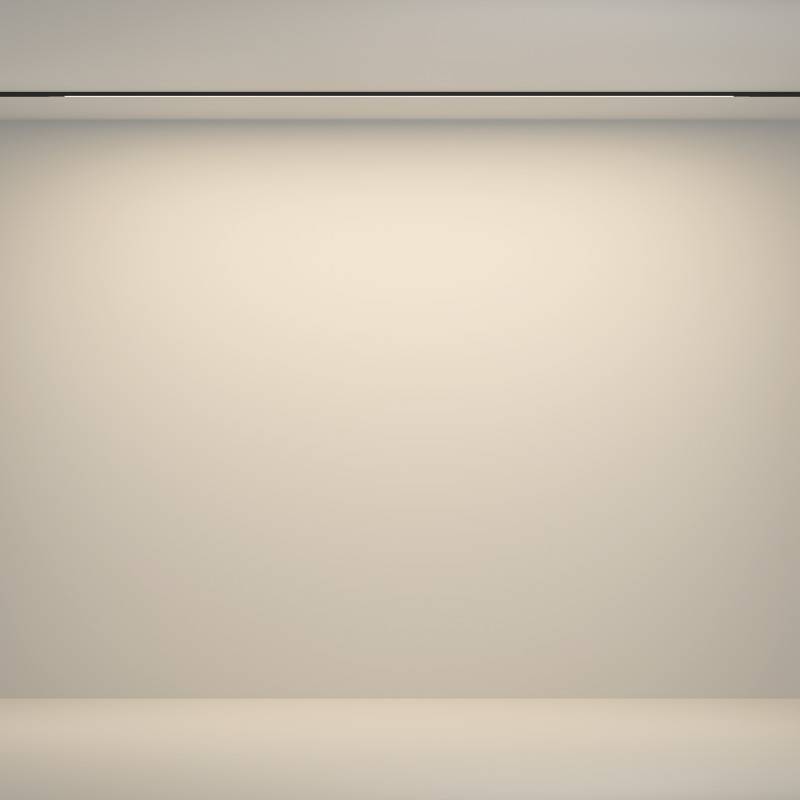 Светильник на шине Maytoni Technical TR180-1-24WTW-B