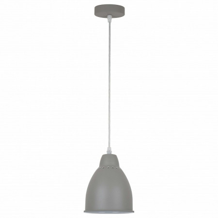 Подвесной светильник Arte Lamp Braccio A2054SP-1GY