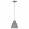 Подвесной светильник Arte Lamp Braccio A2054SP-1GY