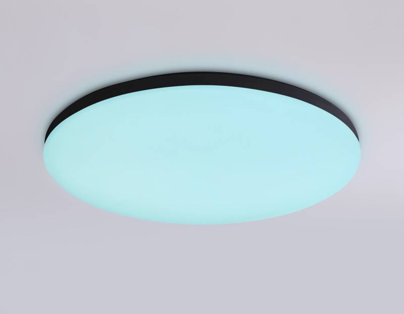 Накладной светильник Ambrella Light FZ2004