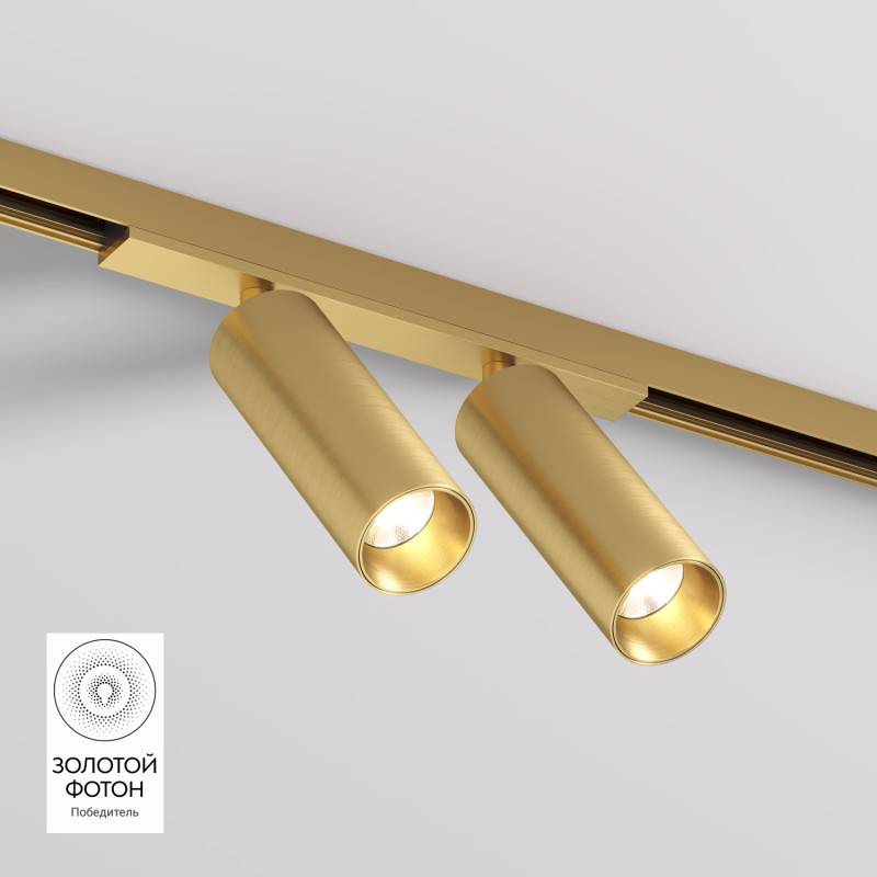 Светильник на шине Denkirs DK5742-SB