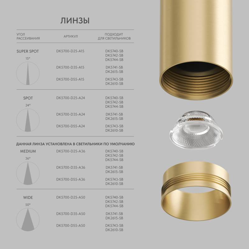 Светильник на шине Denkirs DK5742-SB