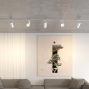 Светильник на шине Novotech 359918
