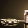 Гибкий неон Elektrostandard Гибкий неон LS001 220V 9.6W 120Led 2835 IP67 4200K