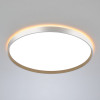 Накладной светильник Citilux CL750500R