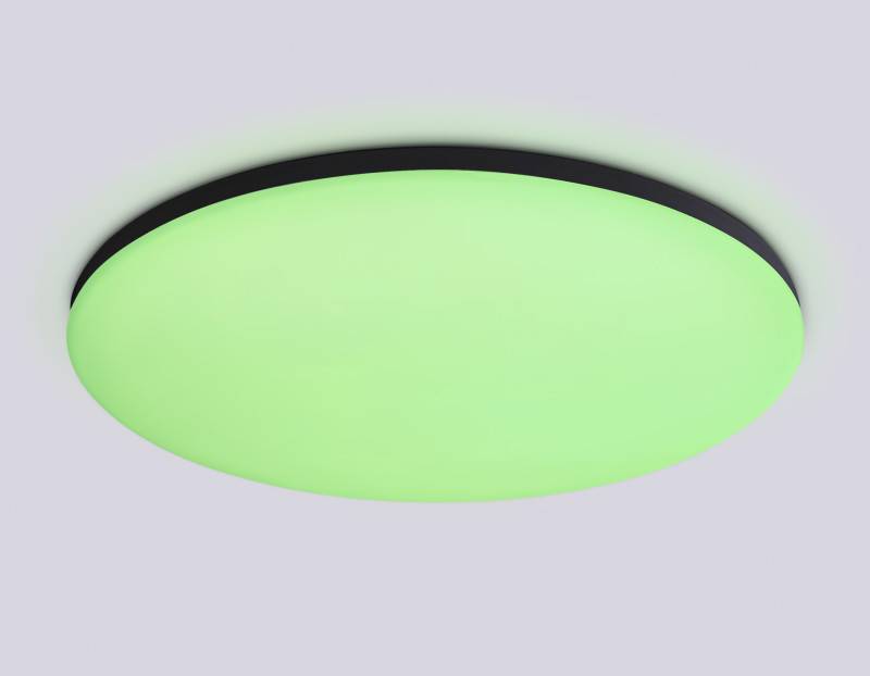 Накладной светильник Ambrella Light FZ2005