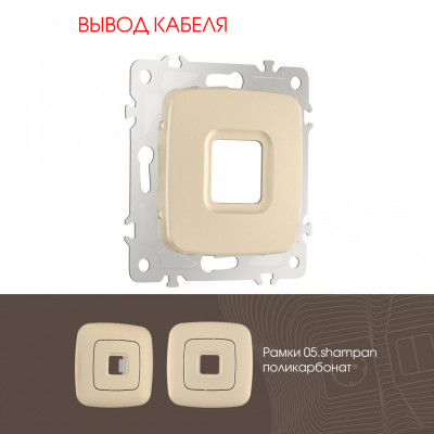 Arte Milano 205.49-1.shampan