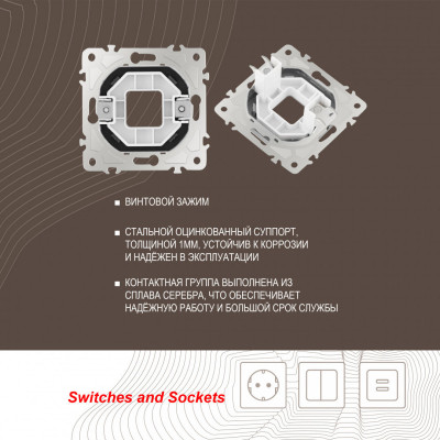 Arte Milano 205.49-1.shampan