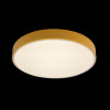 Потолочный детский светильник LOFT IT 10002/24 Yellow