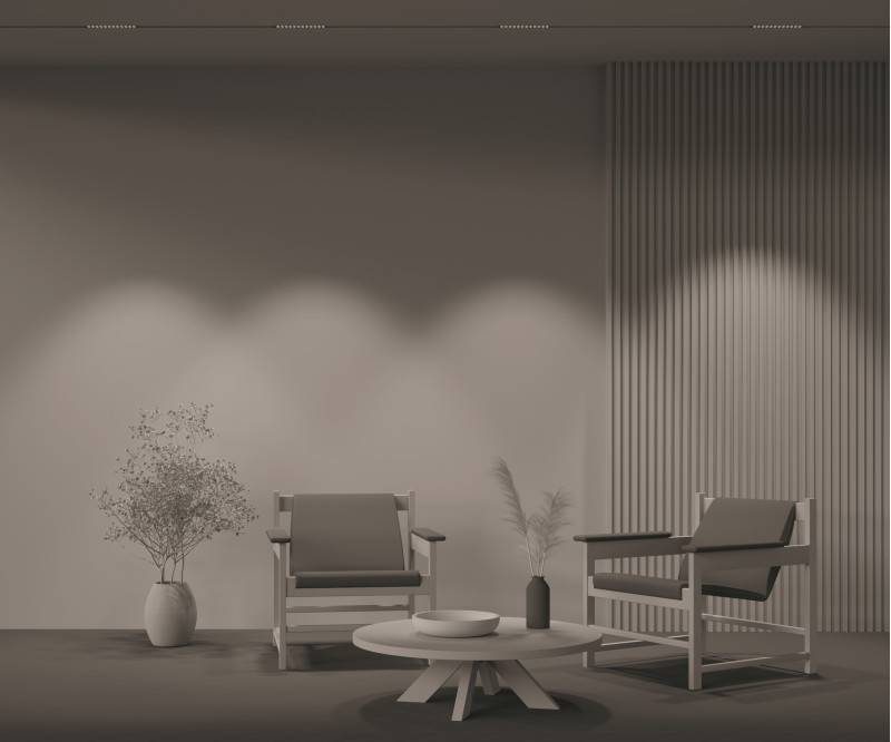 Светильник на шине Maytoni Technical TR031-2-12W4K-B