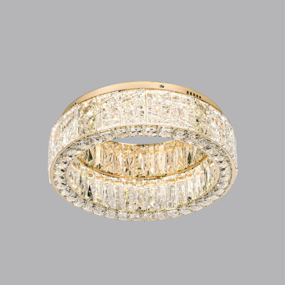 Накладная люстра Odeon Light 5071/60CL