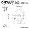 Садово-парковый светильник Citilux CLU10B