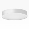 Накладной светильник Citilux CL755390