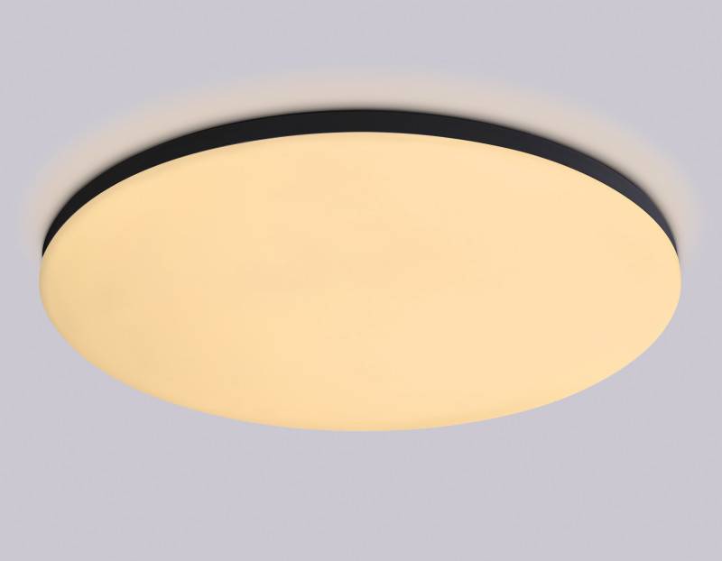 Накладной светильник Ambrella Light FZ2006