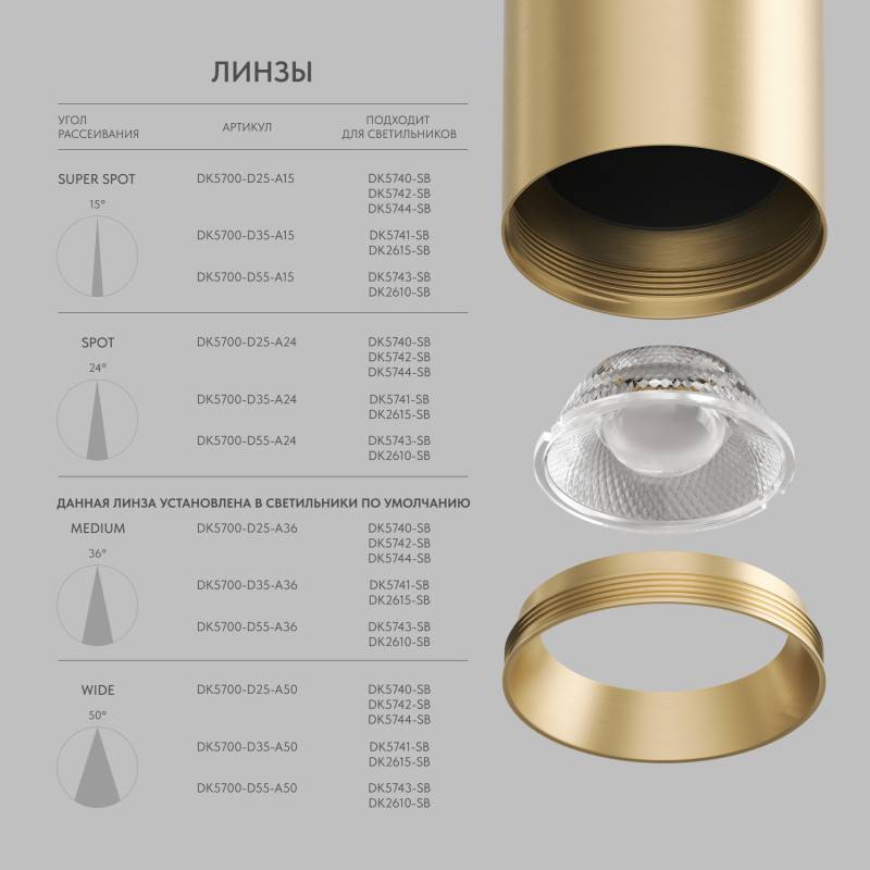 Светильник на шине Denkirs DK5743-SB