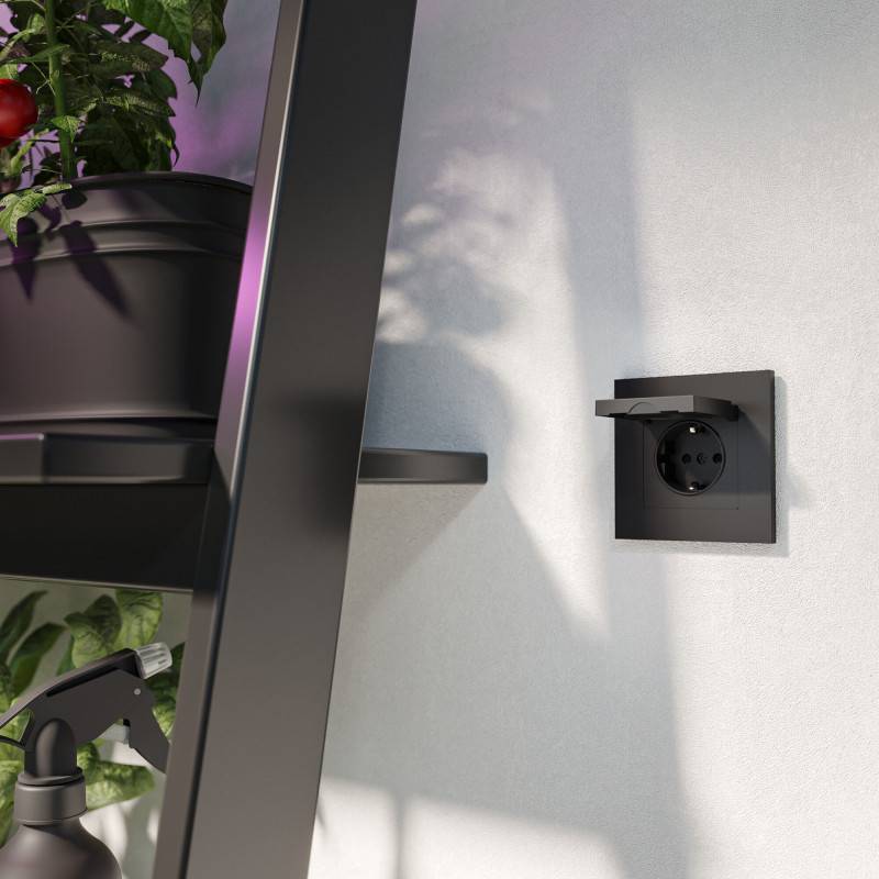 Розетка Werkel W1171208 N