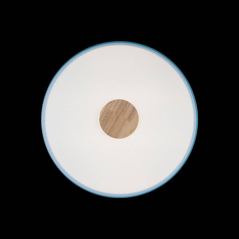 Потолочный детский светильник LOFT IT 10003/24 Blue