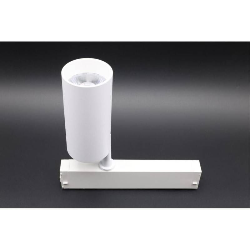 Светильник на шине APLOYT APL.0205.10.20