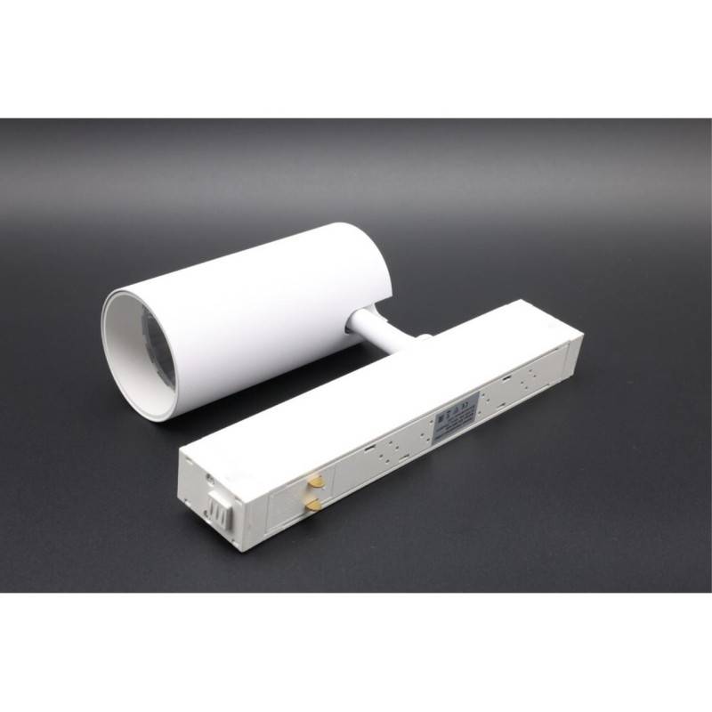 Светильник на шине APLOYT APL.0205.10.20