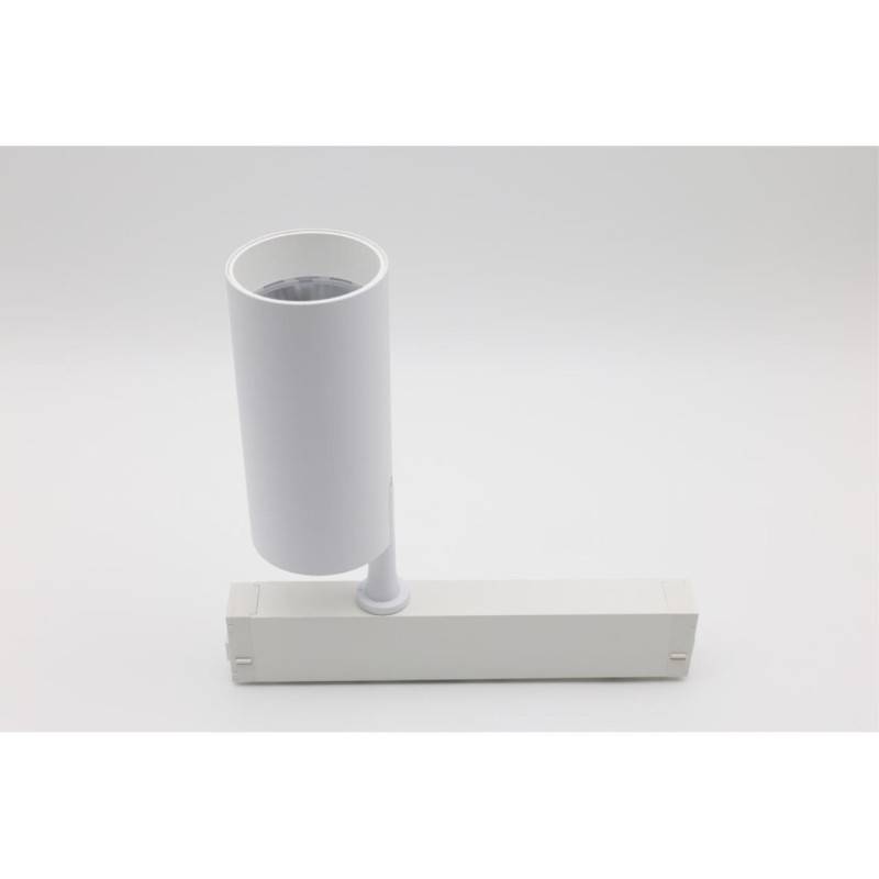 Светильник на шине APLOYT APL.0205.10.20