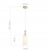 Подвесной светильник ST-Luce SL1402.253.01