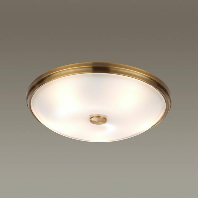 Накладной светильник Odeon Light 4956/5