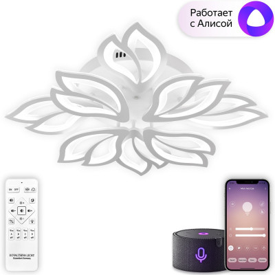 Накладная люстра Natali Kovaltseva LED SMART 84021