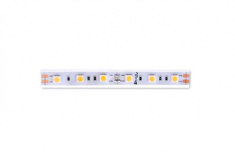 Лента DesignLed DSG560-12-WW-65