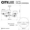 Люстра на штанге Citilux CL421252