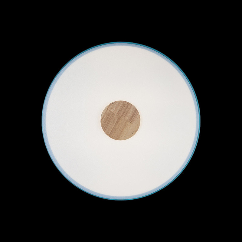 Потолочный детский светильник LOFT IT 10003/24 Blue